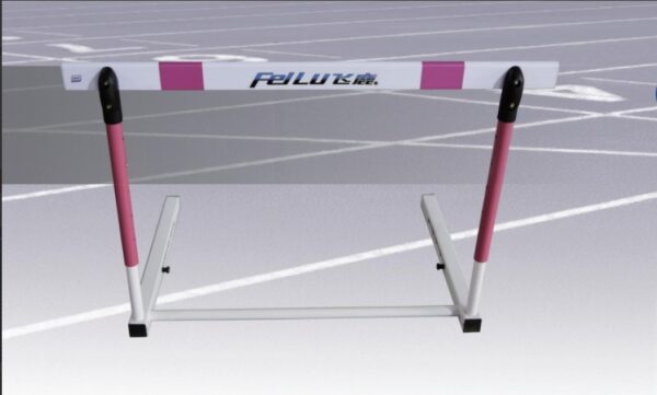 Hurdle Flight - Image 3